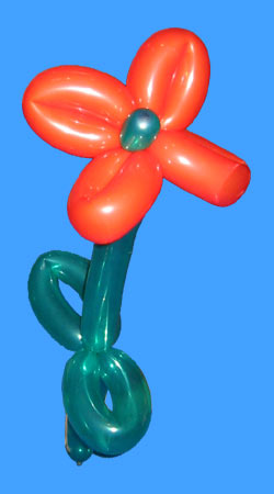 Stolze Blume